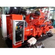 20kw~500kw Cummins Natural Gas Generator with CE/Soncap/CIQ Certifications